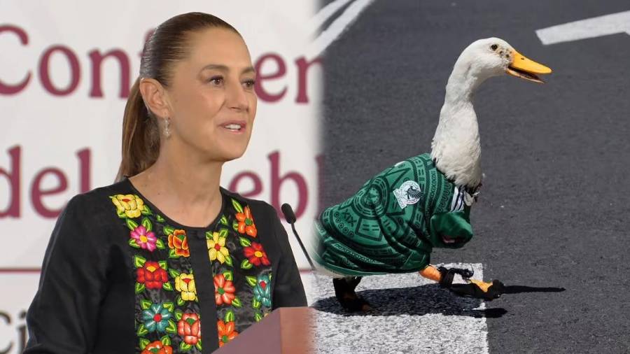 El Pato Merlín, convertido en fenómeno viral rumbo al Mundial 2026, llegó hasta la conferencia de Claudia Sheinbaum, quien lo reconoció como un símbolo cultural inesperado y celebró también el triunfo de la Selección Mexicana.