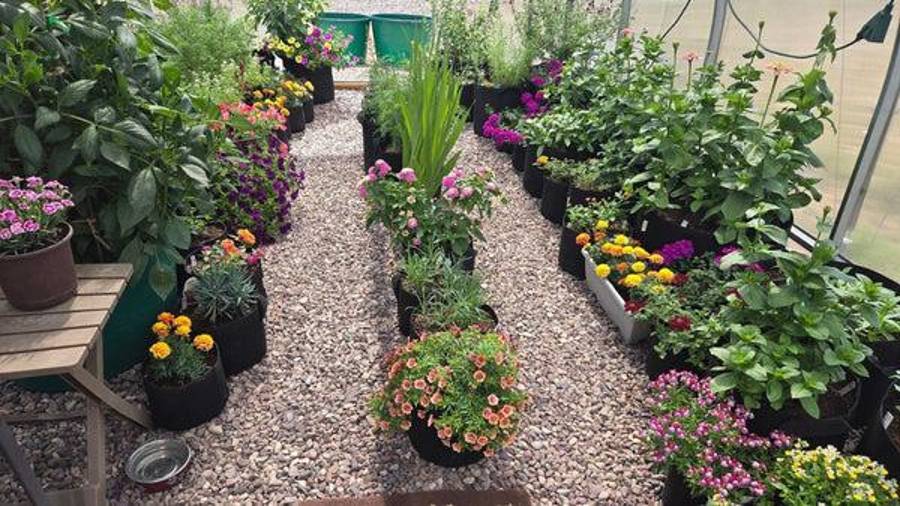 La capacitación está dirigida principalmente a mujeres interesadas en la autonomía alimentaria y el emprendimiento verde.