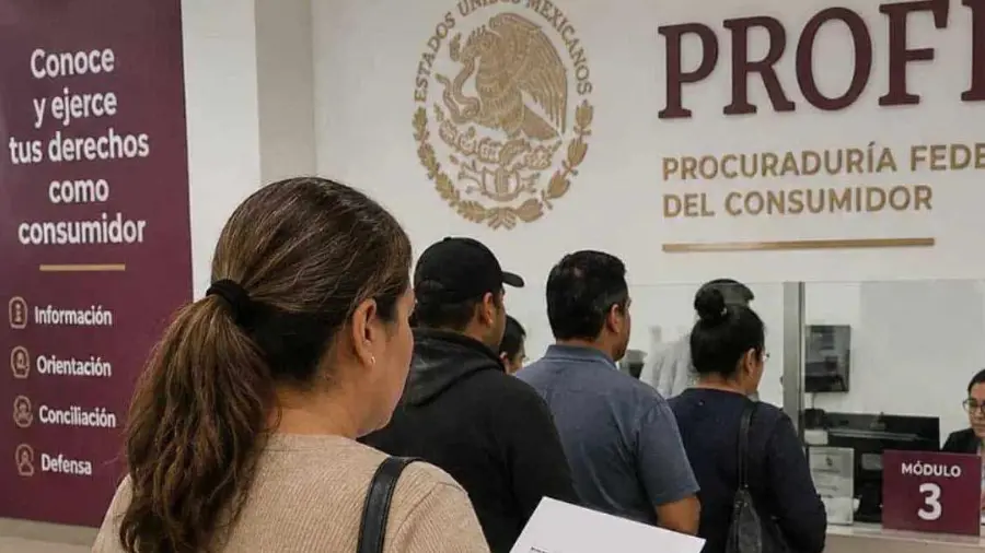 La Profeco protege a los consumidores frente a precios incorrectos, promociones incumplidas y cobros indebidos. Conoce cómo presentar una queja y qué compensación puedes solicitar.