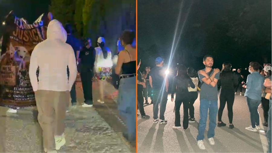 POLITICÓN: Rocky deja lección en Coahuila: cuando la sociedad exige, la autoridad responde