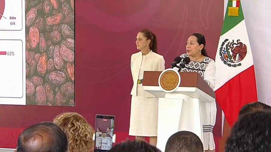 El Gobierno federal destinará 158 millones de pesos para fortalecer la producción de cacao en Tabasco, con una planta de Chocolate Bienestar y 100 módulos de fermentación y secado.