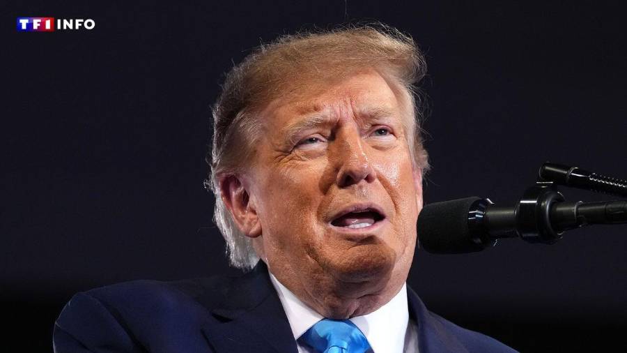 Donald Trump, presidente de Estados Unidos.
