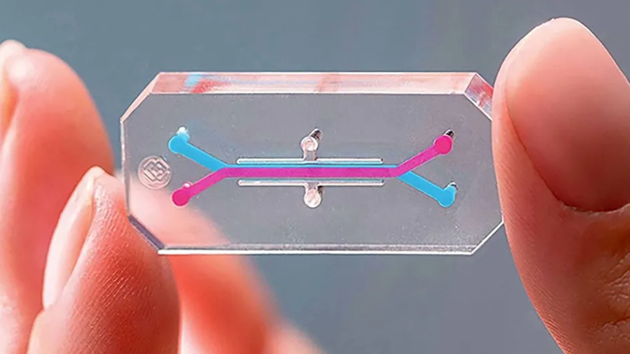 Los científicos, con otras instituciones, ya trabajan en dispositivos similares para pulmón y riñón.