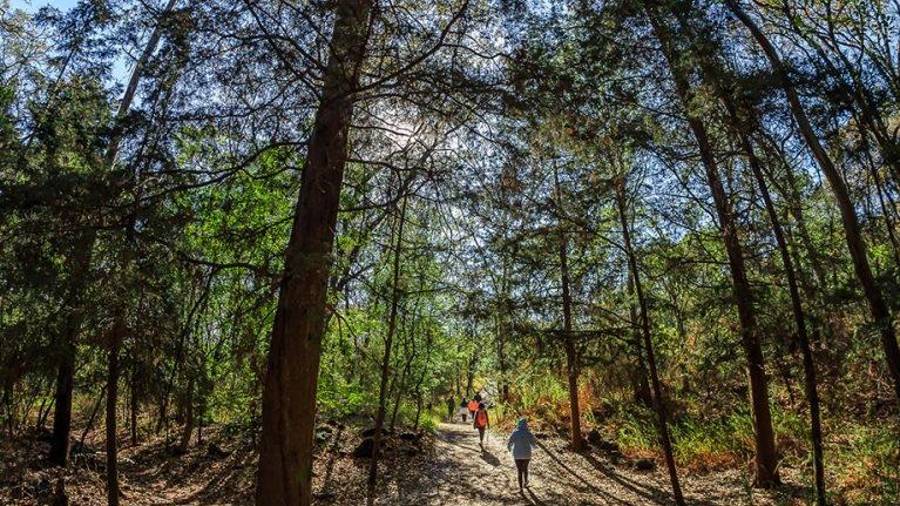 Revelan que venta es impulsada por fraudes, omisiones legales y un mercado informal que opera incluso en redes sociales.