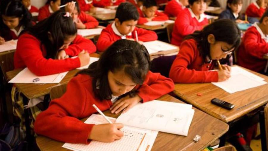 El apoyo busca contribuir a la permanencia escolar de niñas y niños de educación primaria mediante un respaldo económico para sus familias.