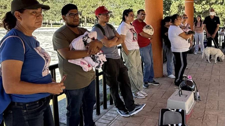 Propietarios de perros y gatos acudían cada fin de semana a las jornadas de Esterilizados A.C. en el Bosque Urbano, actividades que permanecen suspendidas mientras la asociación busca reanudar el servicio.