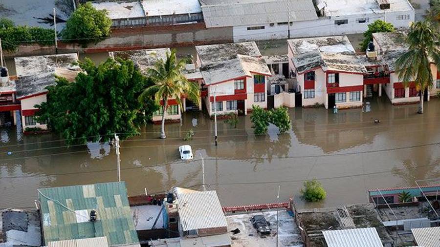 El fenómeno climático El Niño es un calentamiento de las aguas del Pacífico cerca de la línea del ecuador que afecta los patrones climáticos globales.