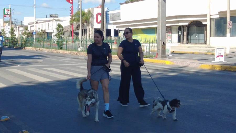 La Ruta Recreativa promueve la tenencia responsable de animales de compañía.