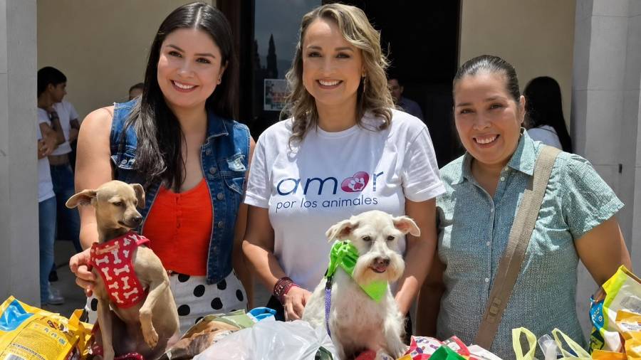 La activista Claudia Leza informó que colectivos animalistas buscarán dar seguimiento a las audiencias y solicitar la aplicación de agravantes durante el proceso penal.