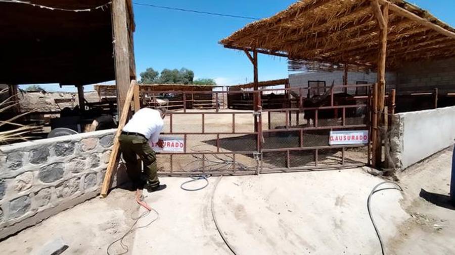 Inspectores de la Profepa clausuraron un predio que operaba sin autorización para el manejo de fauna silvestre en Francisco I. Madero, Coahuila.