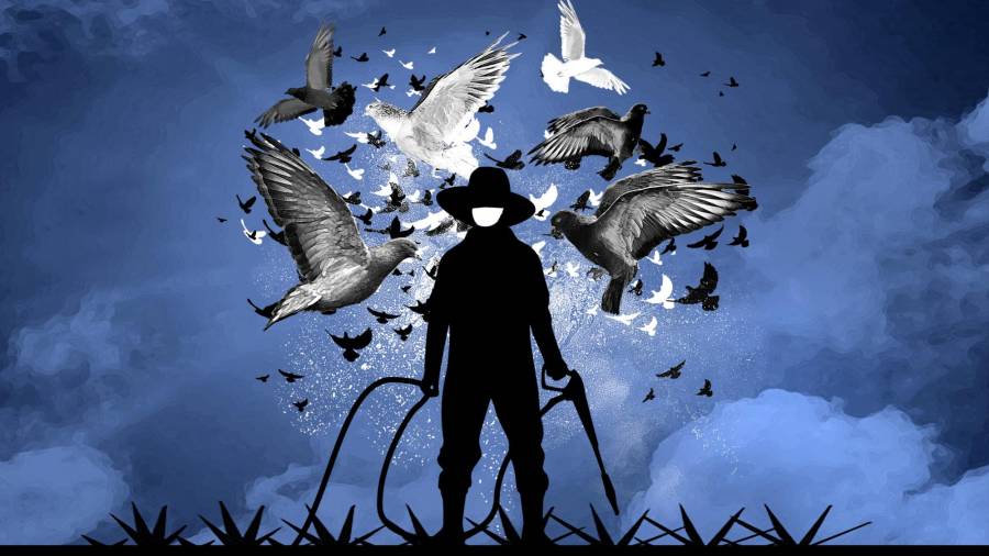 El ‘exterminador’ de palomas