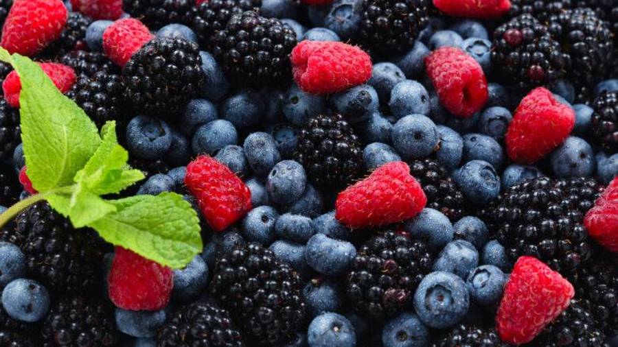 Además los alimentos procesados o agro alimentos también registraron caídas, entre ellos la cerveza, el tequila y el azúcar. FOTO: