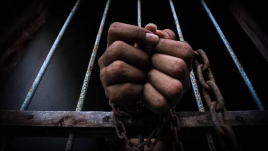 Los imputados aceptaron su responsabilidad mediante un procedimiento abreviado, lo que derivó en la sentencia dictada por un juez federal.