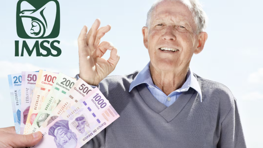 Muchas personas utilizan los términos pensión y jubilación como si fueran sinónimos, pero no significan lo mismo.