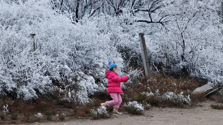 Los meses de invierno concentrarán más de la mitad de los sistemas frontales previstos para México.