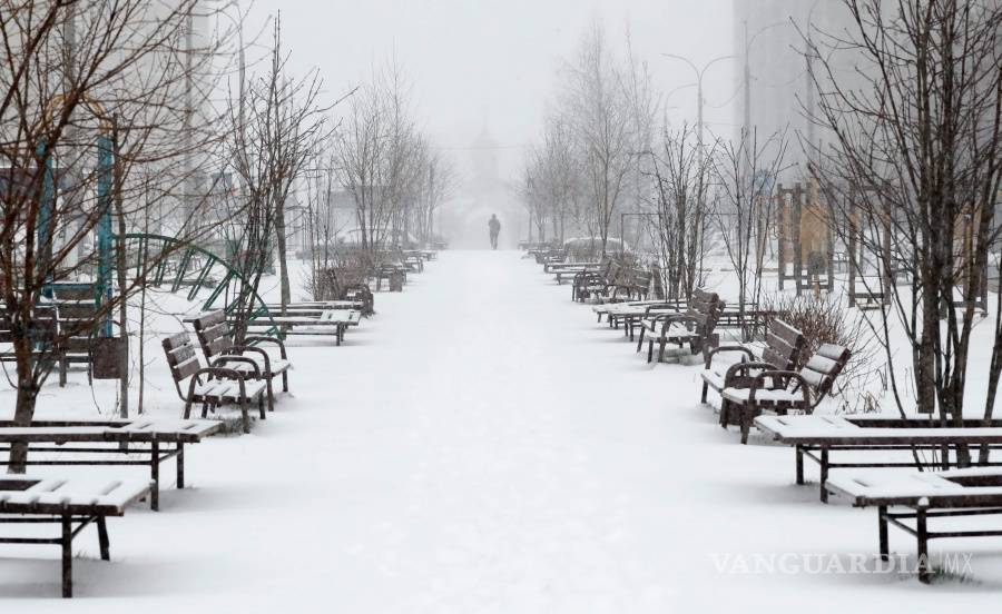 $!Snow TENG, un dispositivo que ayuda a obtener electricidad ‘blanca’ a partir de las nevadas