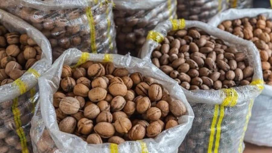 Para el próximo ciclo se esperan mejores condiciones para este fruto, sobre todo en La Laguna.