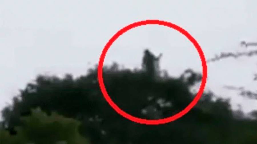 “La Llorona” fue captada en video... en Colombia