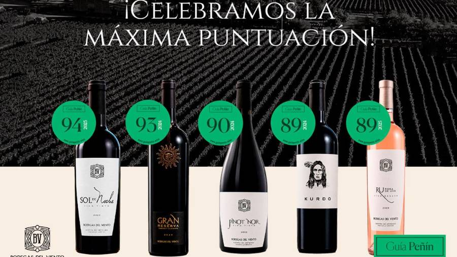 Cuando nadie apostaba por la Sierra de Arteaga, nació un vino que cambió la historia. FOTO: CORTESÍA