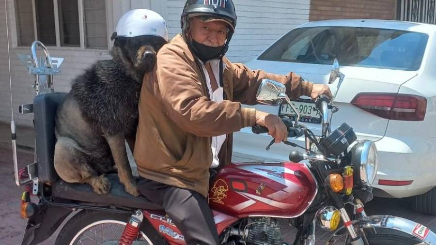 “Oso González Chopper”, el perrito motociclista, se convirtió en un personaje icónico de Saltillo, llenando de alegría a quienes lo veían recorrer la ciudad junto a su dueño, el dentista Javier González.