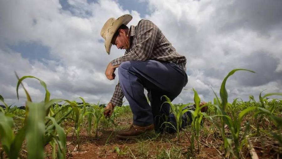 Autoridades federales exhortan a regularizar concesiones para mantener apoyos energéticos.
