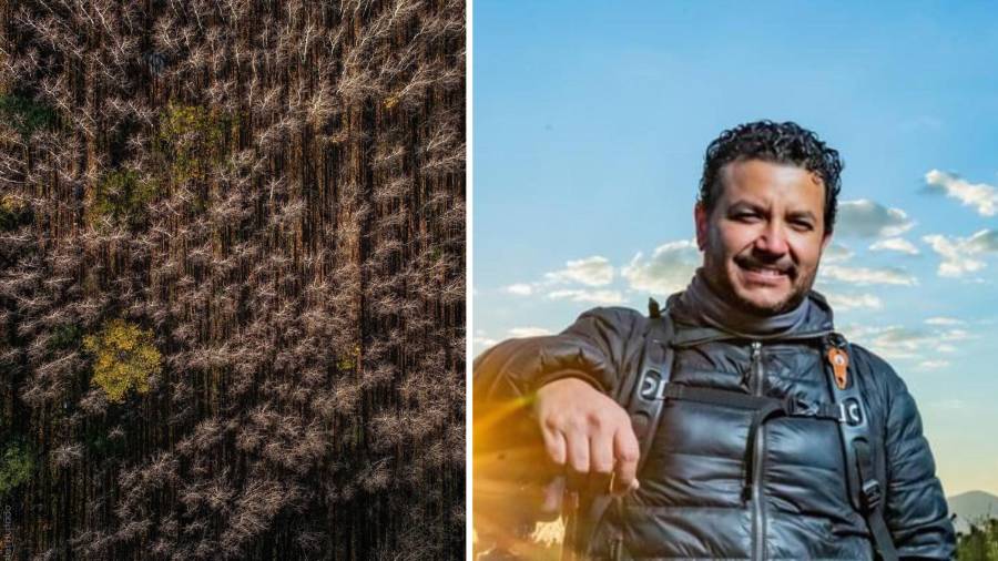 Talento. Su trabajo se ha distinguido por una exploración constante del paisaje desde perspectivas poco convencionales.