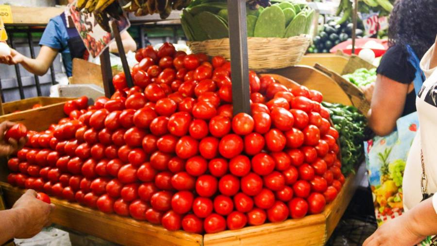 El precio del jitomate saladette aumentó 121.1 por ciento anual en abril, según datos del INEGI.