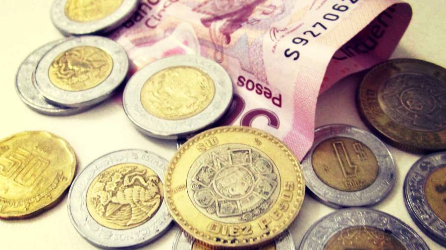 Red empresarial simula competencia para ganar licitaciones estatales, de SEP y Pemex: Newsweek