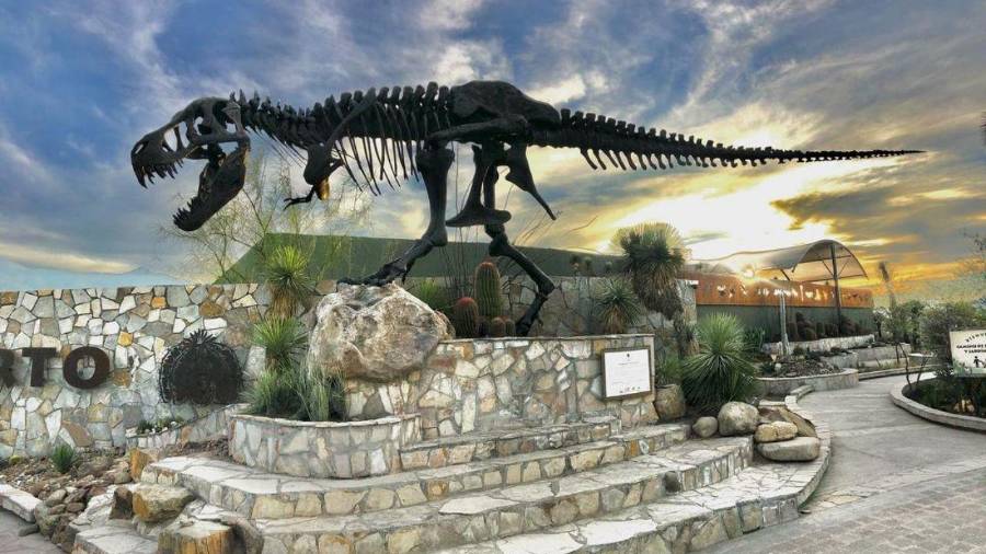 El Museo del Desierto será una de las sedes del 1er Congreso Internacional de Conservación de Fauna Silvestre.