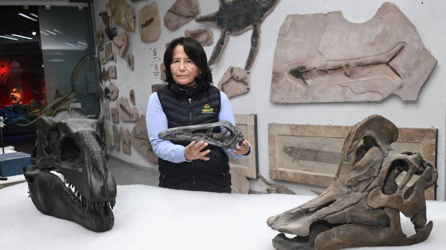 Martha Aguillón, paleontóloga coahuilense, explica que el hallazgo del Xenovenator espinosai es resultado de años de investigación, revisión de materiales antiguos y del uso de tecnología avanzada que permitió reinterpretar fósiles clave para la ciencia.