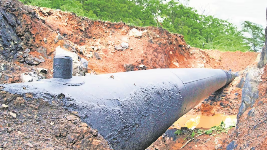 En los últimos 10 años, los registros muestran un crecimiento notable a partir de 2019, con picos en 2023, 2024 y 2025.