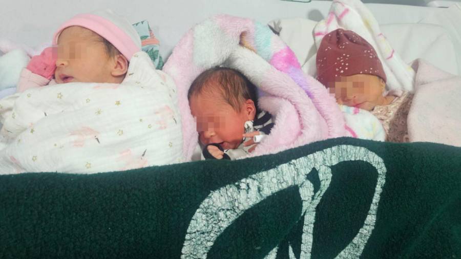 Las recién nacidas fueron reportadas con peso y talla dentro de parámetros clínicos estables.