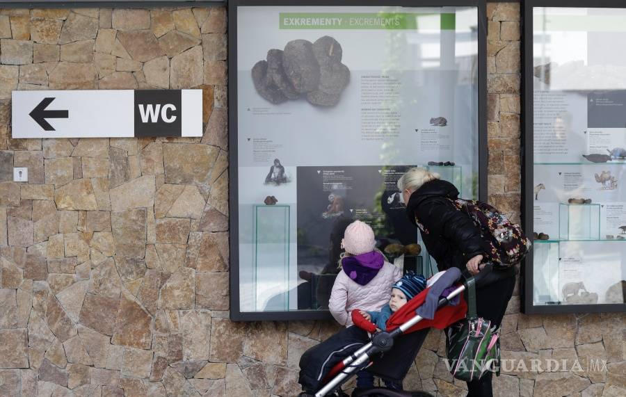 $!Un zoológico en Praga inaugura una exposición sobre el excremento animal