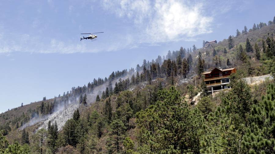 El despliegue se realizará en los distintos cañones de la Sierra de Arteaga.