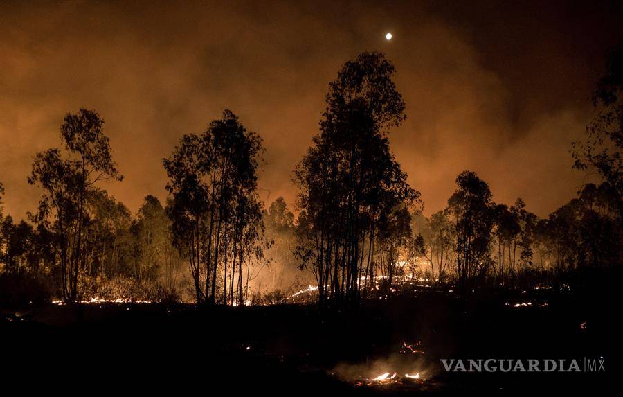 $!Imágenes de un año 2020 que nos estremeció (Fotogalería)