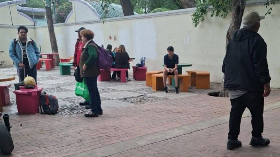 Las partidas de ajedrez al aire libre son una actividad habitual en la Alameda Zaragoza de Saltillo.