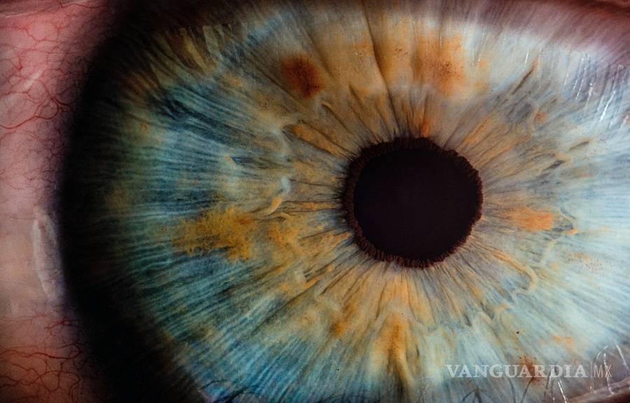 $!Pupilas oculares guardan huellas de las experiencias traumáticas que ha sufrido una persona