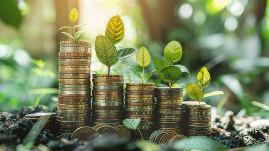 El sector privado juega un papel clave en la creación de comunidades resilientes y en la transición hacia una economía baja en carbono.