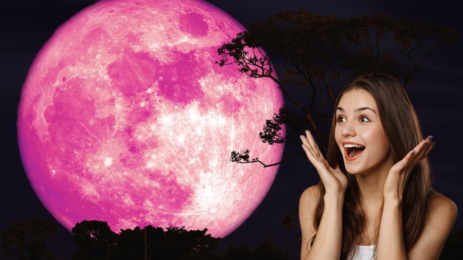 Aunque su nombre evoca flores rosadas, proviene de la floración de las Phlox subulata en Norteamérica