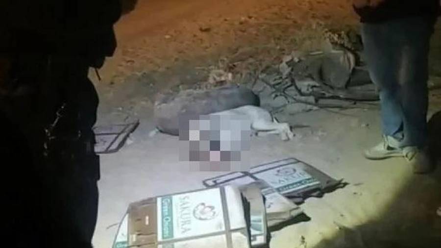 La dueña señaló que su familia no pudo llevar a Cornelio inmediatamente al veterinario debido a que no contaban con recursos y, después, la salud del perro se complicó.