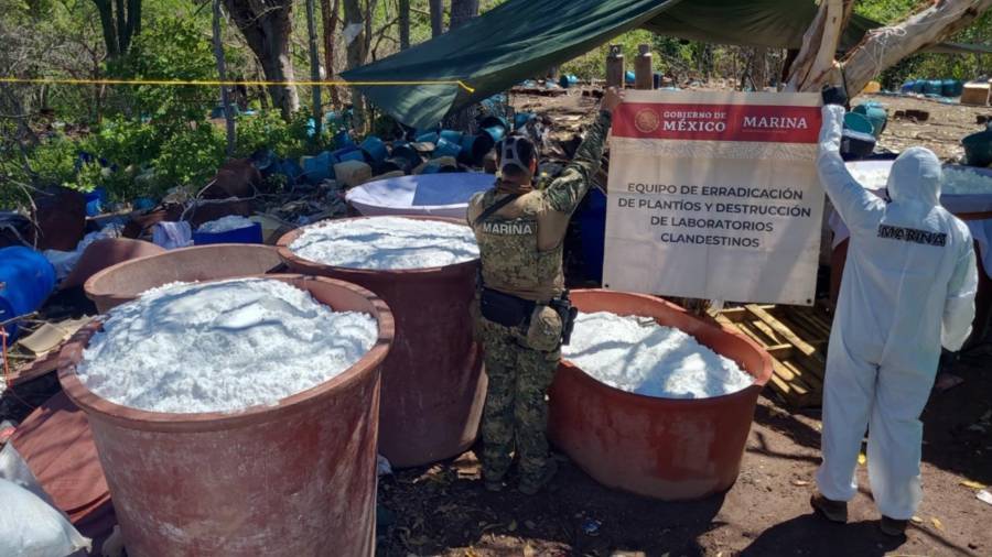 La instalación tenía una superficie aproximada de tres mil 150 metros cuadrados y era utilizada para la elaboración de estas drogas.
