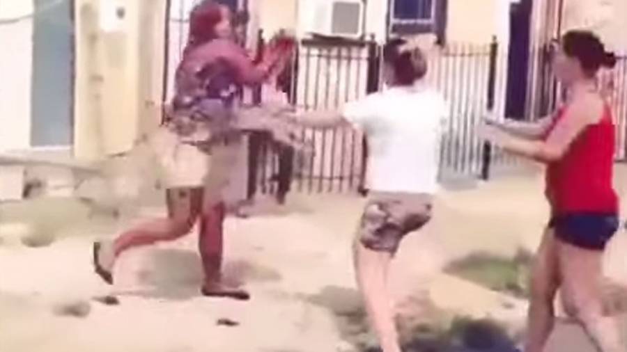 Utilizan cruelmente a sus perros como 'látigo' para defenderse