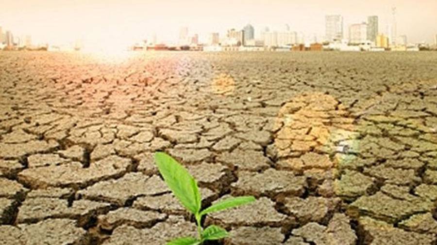 Cambio climático traerá graves efectos en la alimentación