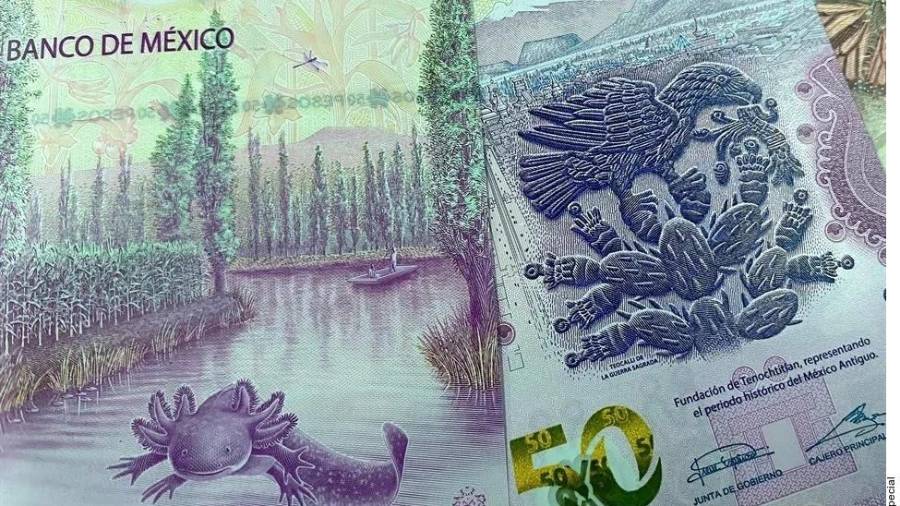Las autoridades federales buscan cerrar el paso al lavado de dinero reforzando acciones.