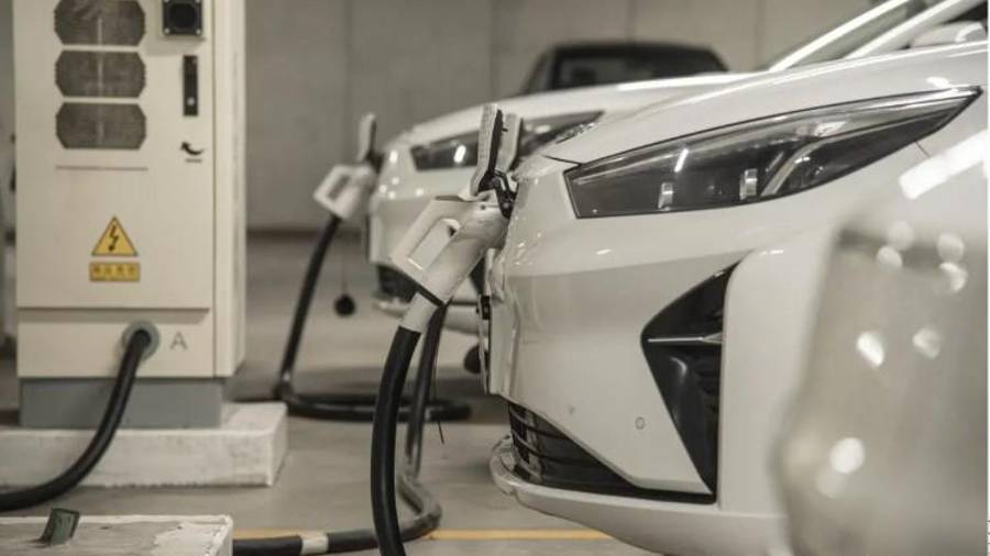 La comercialización de estas unidades representó un crecimiento anual de 38.5 mil respecto a 2024.