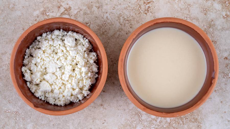 El consumo de búlgaros de leche, también conocidos como kéfir de leche.