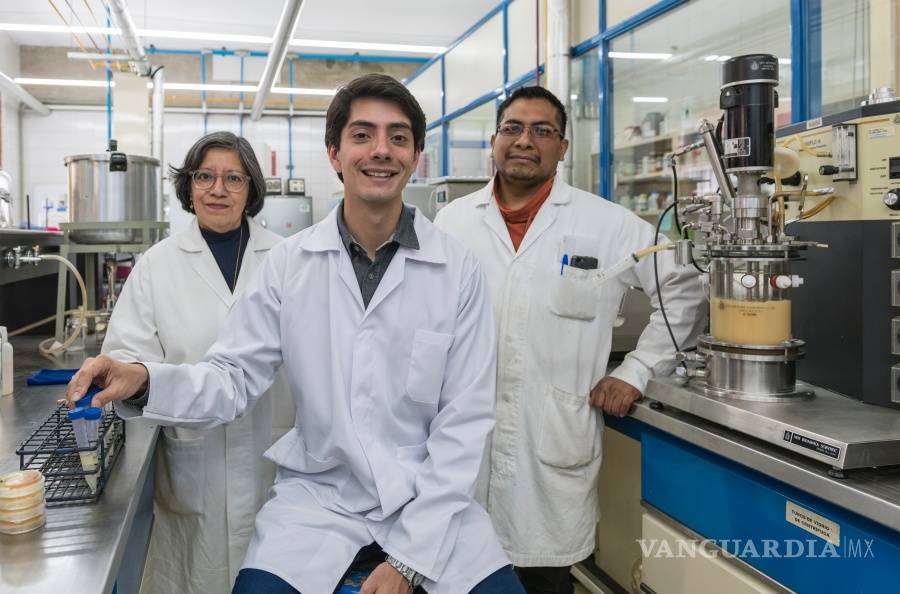 $!Xilinat, creado por un mexicano es un endulzante saludable para combatir la diabetes