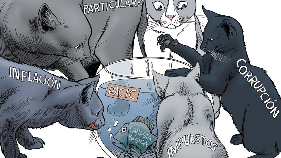 Canasta básica, protegida