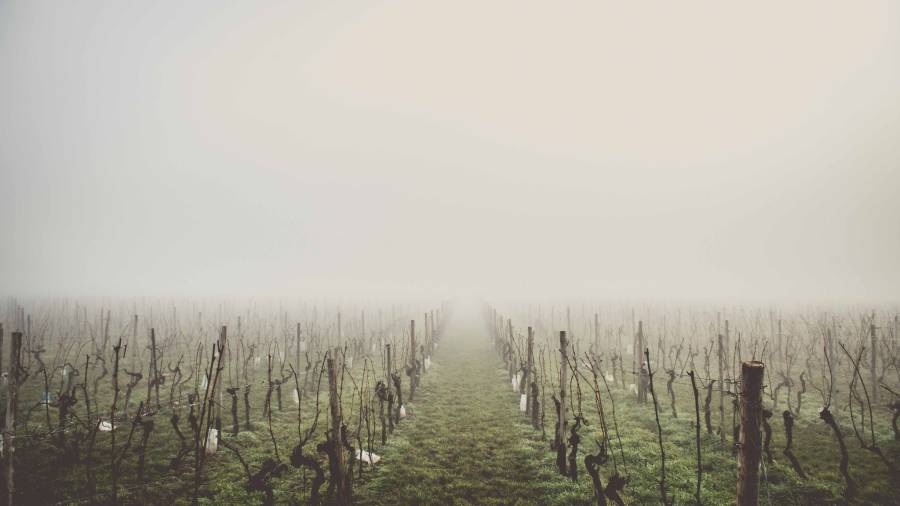 Terruños de México