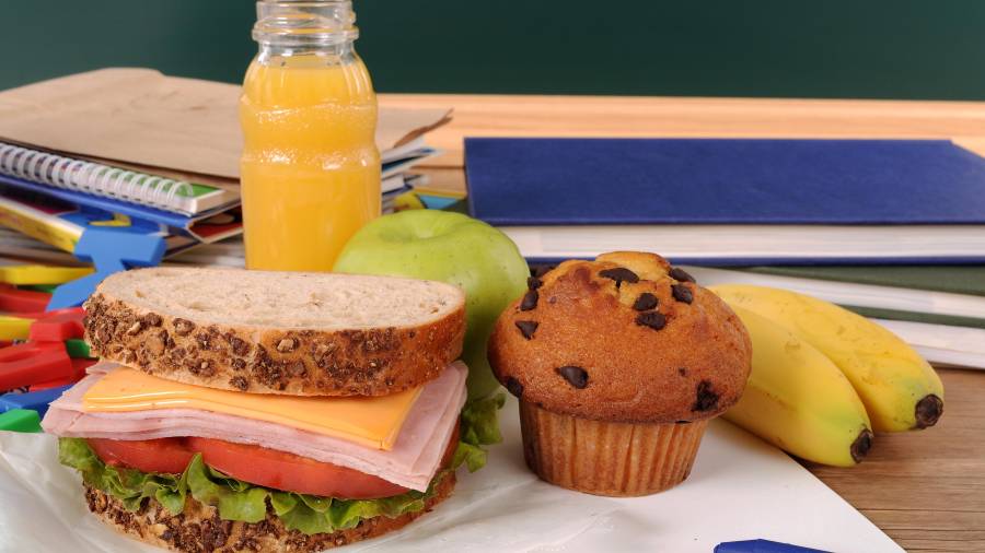 La variedad de colores y la separación de alimentos en la lonchera aumentan el interés de los niños por comer saludable.